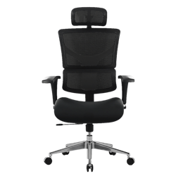 Компьютерное Игровое Офисное кресло EVOLUTION MODEL E