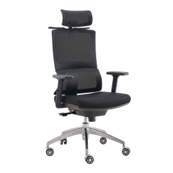 Компьютерное Игровое Офисное кресло EVOLUTION MODEL T Черный