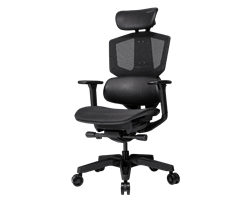 Кресло компьютерное игровое Cougar ARGO One Black