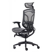 Премиум эргономичное кресло GT Chair Dvary X, чёрный Премиум эргономичное кресло GT Chair Dvary X, чёрный