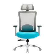 Кресло офисное EVOLUTION ERGO PRIME Sky Blue, Сетка/Ткань, Серый/Голубой Кресло офисное EVOLUTION ERGO PRIME Sky Blue, Сетка/Ткань, Серый/Голубой