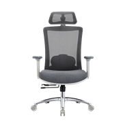 Кресло офисное EVOLUTION ERGO PRIME Grey, Сетка/Ткань, Серый Кресло офисное EVOLUTION ERGO PRIME Grey, Сетка/Ткань, Серый