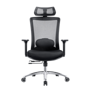 Кресло офисное EVOLUTION ERGO PRIME Black, Сетка/Ткань, Черный Кресло офисное EVOLUTION ERGO PRIME Black, Сетка/Ткань, Черный