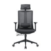 Кресло офисное EVOLUTION ERGO BLISS Black - Сетка/Ткань, Черный Кресло офисное EVOLUTION ERGO BLISS Black - Сетка/Ткань, Черный