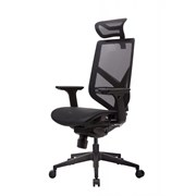 Премиум эргономичное кресло GT Chair Tender Form M, черный Премиум эргономичное кресло GT Chair Tender Form M, черный