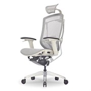 Премиум эргономичное кресло GT Chair Isee X, серый Премиум эргономичное кресло GT Chair Isee X, серый