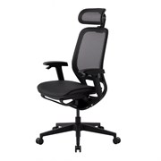 Премиум эргономичное кресло GT Chair NEOSEAT X, черный Премиум эргономичное кресло GT Chair NEOSEAT X, черный