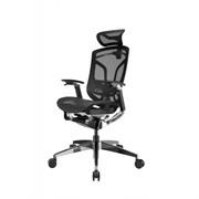 Премиум эргономичное кресло GT Chair Dvary Pro X, чёрный Премиум эргономичное кресло GT Chair Dvary Pro X, чёрный