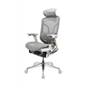 Премиум эргономичное кресло GT Chair Dvary Pro X, серый Премиум эргономичное кресло GT Chair Dvary Pro X, серый