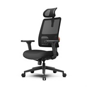 Эргономичное компьютерное кресло FoxGear NETZ модель E, черный Эргономичное компьютерное кресло FoxGear NETZ модель E, черный