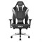 Игровое Кресло AKRacing MAX (AK-MAX-WT) black/white - фото 17670