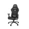 Компьютерное игровое премиум кресло Anda Seat Jungle, черный