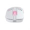Игровая мышь Xtrfy M4 WIRELESS, White белый