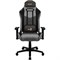 Компьютерное Игровое кресло Aerocool DUKE Ash Black Черный, серый