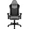 Компьютерное Игровое кресло Aerocool DUKE Ash Black Черный, серый