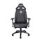 Компьютерное игровое премиум кресло тканевое Anda Seat Throne, черный