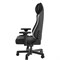 Компьютерное кресло DXRacer I-DMC/MAS2022/NW - фото 29600
