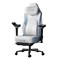 Премиум игровое кресло Autofull серия M6 PRO, AFM602WMS, поддержка ног, подогрев, обдув - фото 41581