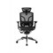 Премиум эргономичное кресло GT Chair Dvary Pro X, чёрный - фото 42117