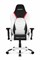 Игровое Кресло AKRacing ARCTICA (K700T_WT) white/black