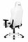 Игровое Кресло AKRacing ARCTICA (K700T_WT) white/black