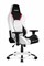 Игровое Кресло AKRacing ARCTICA (K700T_WT) white/black